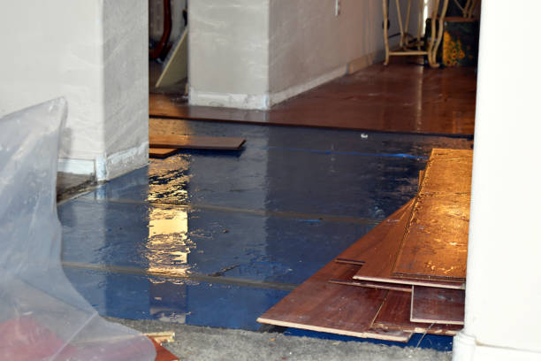 Professional Sewage Cleanup technician working in Milford, MA